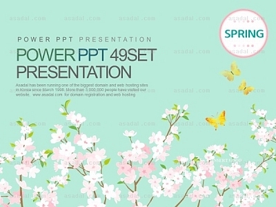 봄 spring PPT 템플릿 세트2_Spring03_1009(바니피티)