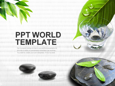검정돌 장판 PPT 템플릿 돌위의 나뭇잎과 물한잔의 여유