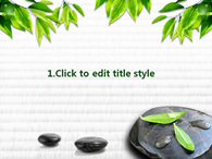 검정돌 장판 PPT 템플릿 돌위의 나뭇잎과 물한잔의 여유_슬라이드3