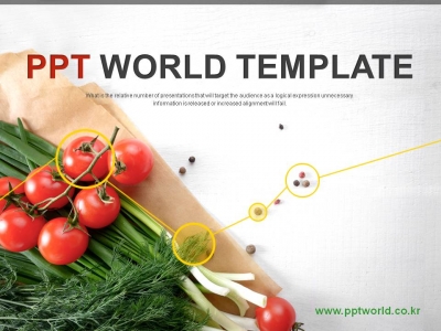 마늘 호박 PPT 템플릿 친환경 유기농 야채식단 사업 제안서