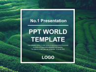 포레스트 포인트 그래픽(자동완성형포함) 파워포인트 PPT 템플릿 디자인_슬라이드1